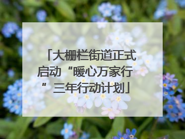 大栅栏街道正式启动“暖心万家行”三年行动计划