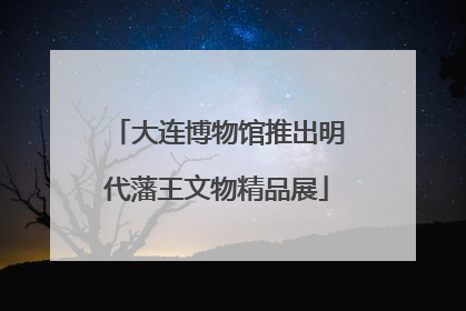 大连博物馆推出明代藩王文物精品展
