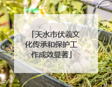 天水市伏羲文化传承和保护工作成效显著