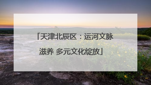 天津北辰区：运河文脉滋养 多元文化绽放