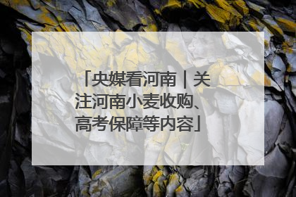 央媒看河南｜关注河南小麦收购、高考保障等内容