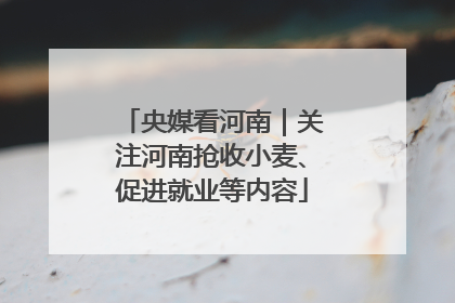 央媒看河南｜关注河南抢收小麦、促进就业等内容