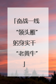 奋战一线“领头雁” 躬身实干“老黄牛”