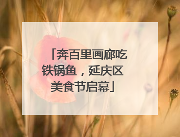奔百里画廊吃铁锅鱼，延庆区美食节启幕