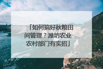 如何搞好秋粮田间管理？潍坊农业农村部门有实招