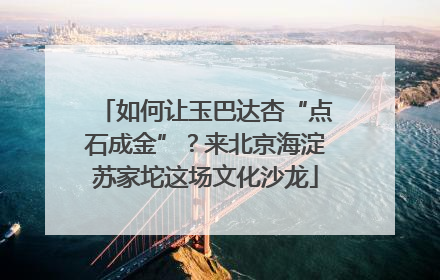 如何让玉巴达杏“点石成金”？来北京海淀苏家坨这场文化沙龙