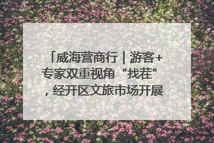 威海营商行｜游客+专家双重视角“找茬”，经开区文旅市场开展暑期前“体检”