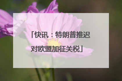 快讯：特朗普推迟对欧盟加征关税