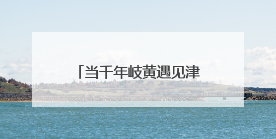 当千年岐黄遇见津卫烟火 这场中医市集把养生玩出花