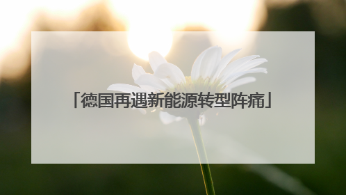 德国再遇新能源转型阵痛