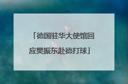 德国驻华大使馆回应樊振东赴德打球