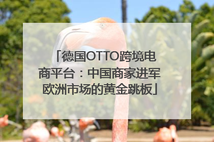德国OTTO跨境电商平台：中国商家进军欧洲市场的黄金跳板