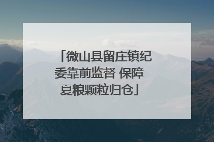 微山县留庄镇纪委靠前监督 保障夏粮颗粒归仓