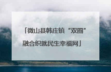 微山县韩庄镇“双圈”融合织就民生幸福网