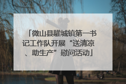 微山县驩城镇第一书记工作队开展“送清凉、助生产”慰问活动