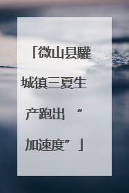 微山县驩城镇三夏生产跑出 “加速度”