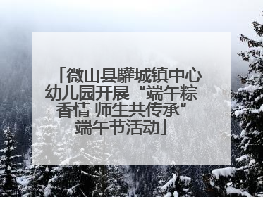 微山县驩城镇中心幼儿园开展“端午粽香情 师生共传承”端午节活动