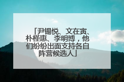 尹锡悦、文在寅、朴槿惠、李明博，他们纷纷出面支持各自阵营候选人