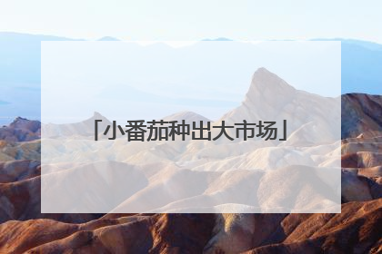 小番茄种出大市场