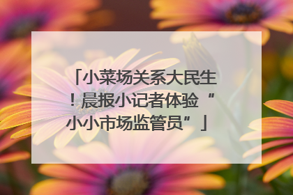 小菜场关系大民生！晨报小记者体验“小小市场监管员”