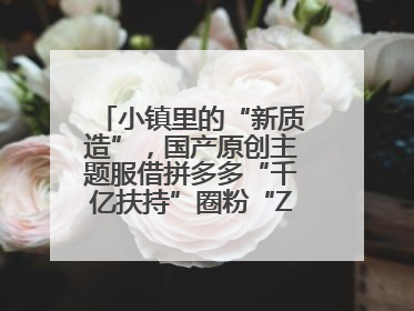 小镇里的“新质造”，国产原创主题服借拼多多“千亿扶持”圈粉“Z世代”