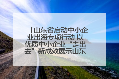 山东省启动中小企业出海专项行动 以优质中小企业“走出去”新成效展示山东产业发展新形象