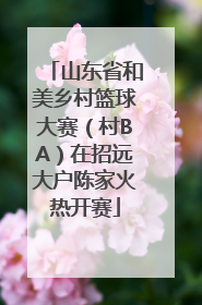 山东省和美乡村篮球大赛（村BA）在招远大户陈家火热开赛