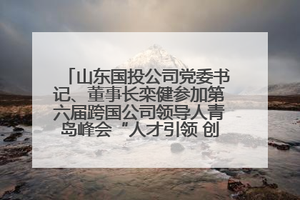 山东国投公司党委书记、董事长栾健参加第六届跨国公司领导人青岛峰会“人才引领 创新驱动”人力资源高质量发展对话会
