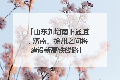 山东新增南下通道，济南、徐州之间将建设新高铁线路