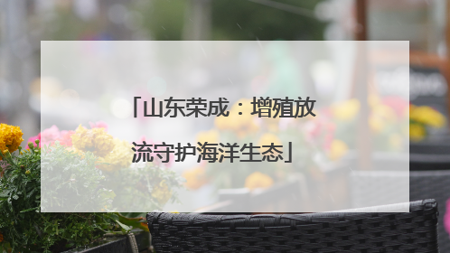 山东荣成：增殖放流守护海洋生态