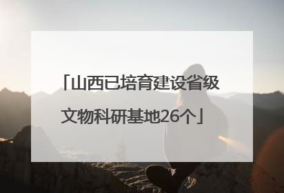 山西已培育建设省级文物科研基地26个