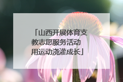 山西开展体育支教志愿服务活动 用运动浇灌成长