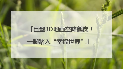 巨型3D地画空降鹤岗！一脚踏入“幸福世界”