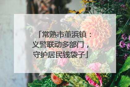 常熟市董浜镇：义警联动多部门，守护居民钱袋子