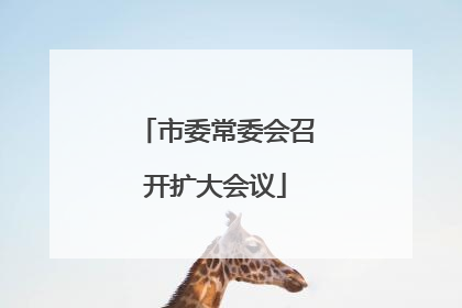 市委常委会召开扩大会议