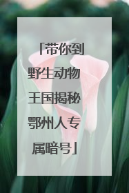 带你到野生动物王国揭秘鄂州人专属暗号