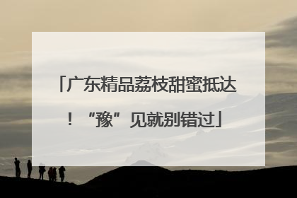 广东精品荔枝甜蜜抵达！“豫”见就别错过