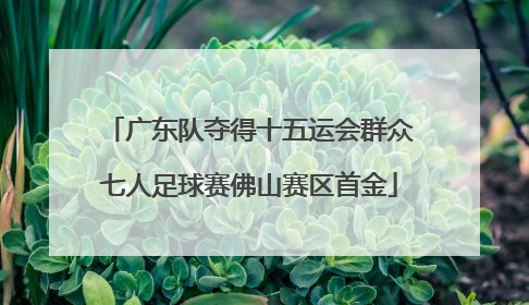 广东队夺得十五运会群众七人足球赛佛山赛区首金