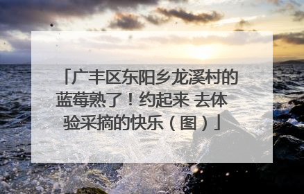 广丰区东阳乡龙溪村的蓝莓熟了！约起来 去体验采摘的快乐（图）