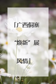 广西侗寨“焕新”展风情