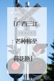 广西三江：芒种将至荷花艳