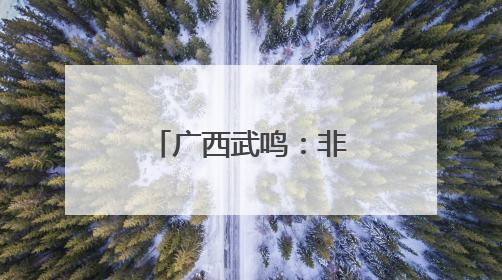 广西武鸣：非遗焕发蓬勃生机 乡村添光彩