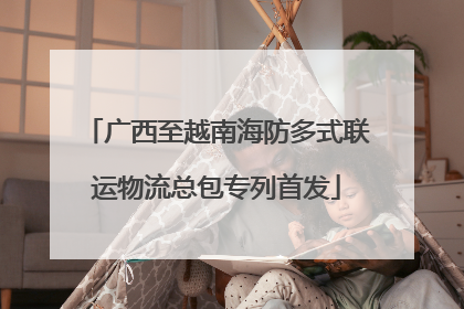 广西至越南海防多式联运物流总包专列首发
