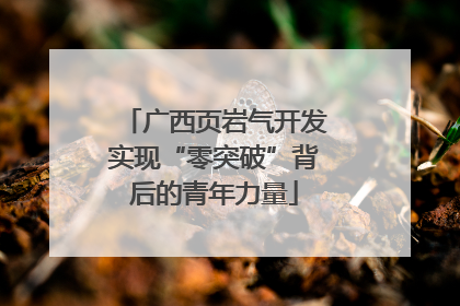 广西页岩气开发实现“零突破”背后的青年力量