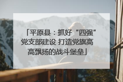 平原县：抓好“四强”党支部建设 打造党旗高高飘扬的战斗堡垒