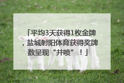 平均3天获得1枚金牌，盐城射阳体育获得奖牌数呈现“井喷”！