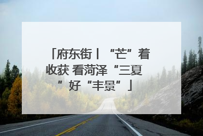 府东街丨“芒”着收获 看菏泽“三夏”好“丰景”