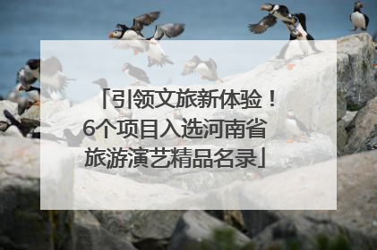 引领文旅新体验！6个项目入选河南省旅游演艺精品名录