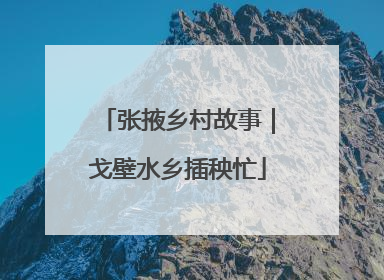 张掖乡村故事｜戈壁水乡插秧忙