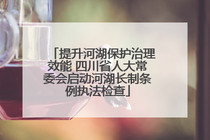 提升河湖保护治理效能 四川省人大常委会启动河湖长制条例执法检查